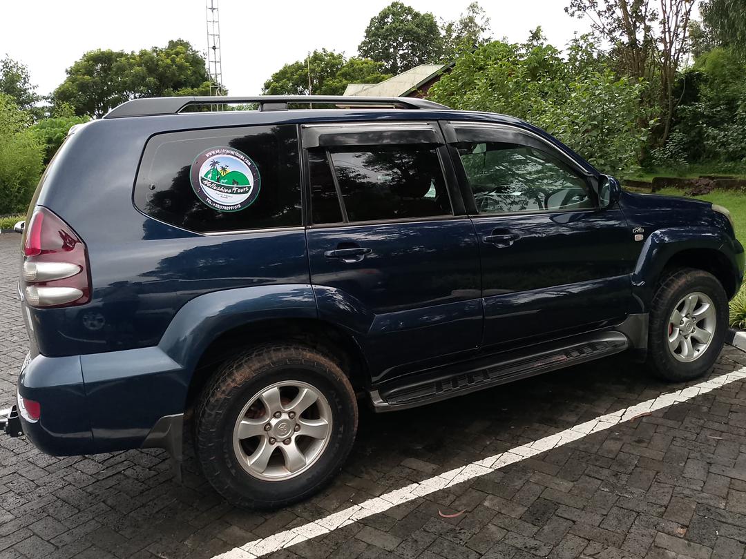 CAR RENTAL SERVICES